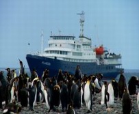 Südpolarregion, Antarktika-Expeditionen - Pinguine vor dem Expeditionsschiff am Anlandeplatz