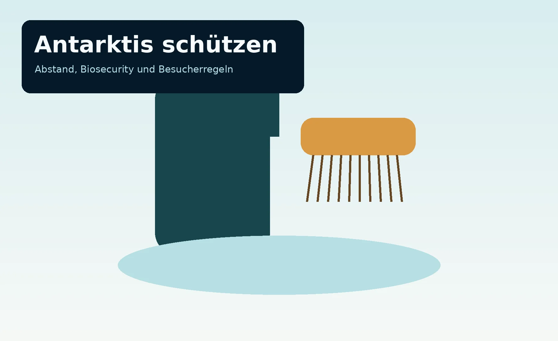 Illustration zur Biosecurity in der Antarktis