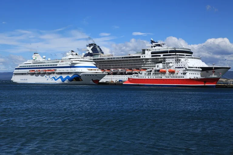 Expeditions- und Kreuzfahrtschiffe im Hafen von Ushuaia